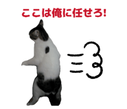 835591631