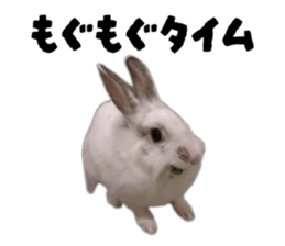 835592392
