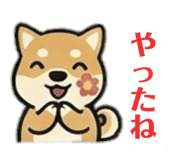 835592429