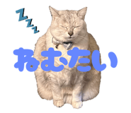 835593934