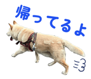 835593946