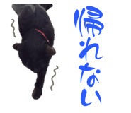 835593952