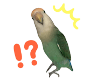 835599550