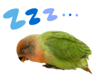 835599556