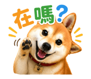 835604793