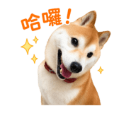 835604794