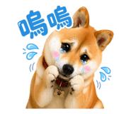 835604795