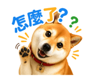 835604798