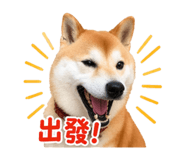 835604806