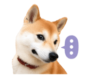 835604807