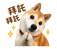 835604808