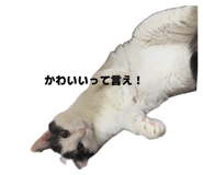 835610189