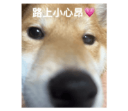 835616191