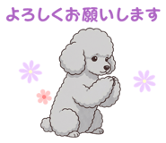835617683