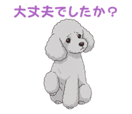 835617692