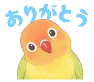 835623611