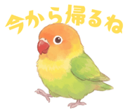 835623635