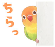 835623646