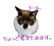 835626122