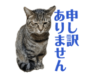835626123