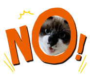 835626126