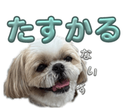 835628071