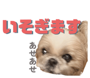 835628080