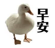 835632794