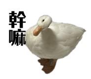 835632796