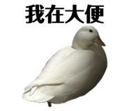 835632797