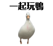 835632800