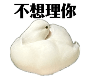 835632802