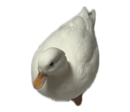 835632807