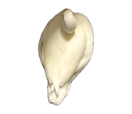 835632808