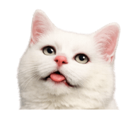 835636201