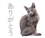 835637201