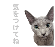 835637205