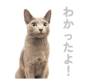 835637209