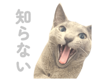 835637215