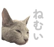 835637216