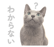 835637219