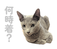 835637224