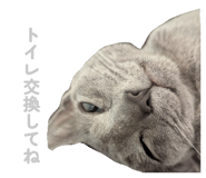 835637230