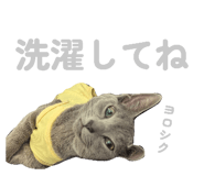 835637232