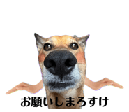 835640409