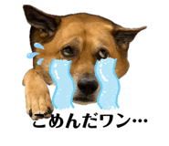 835640412