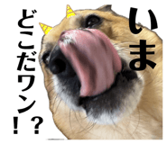 835640414