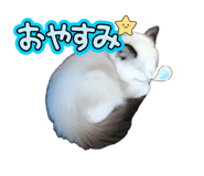 835641449