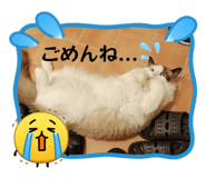 835641450