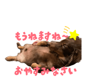 835641643